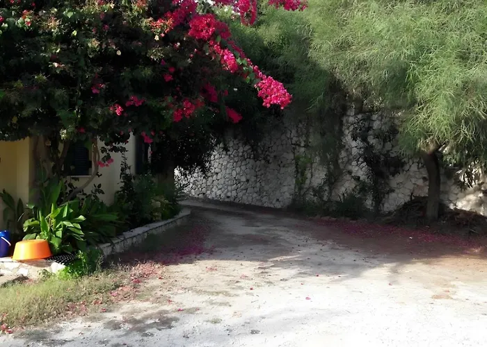 Vardia * Lefkada City